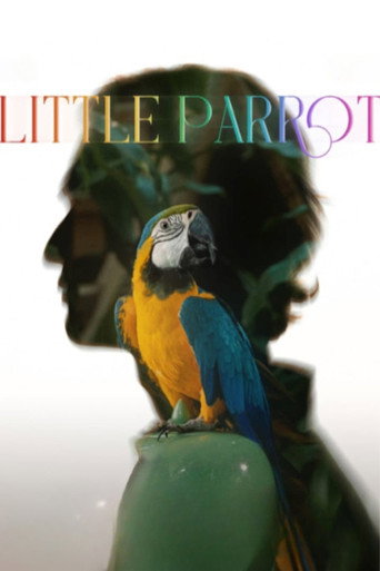 Movie poster for Little Parrot (2022)