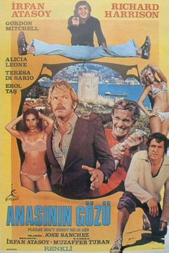 Movie poster for Anasının Gözü (1975)