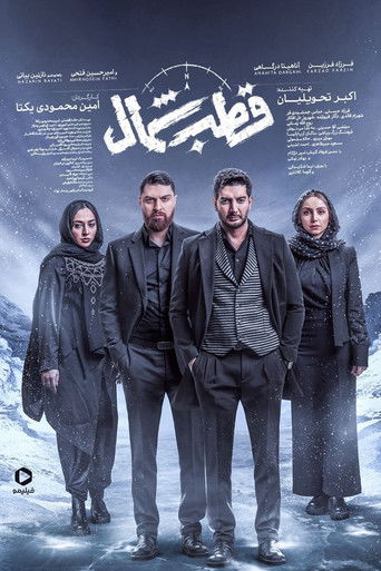 The North Pole poster