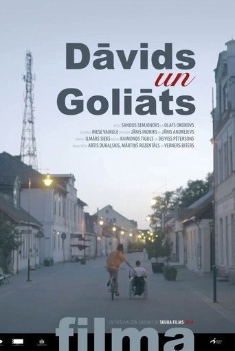 Movie poster for David and Goliath (2018)