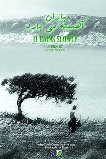 Movie poster for It Rains Slowly (2017)