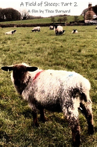 Movie poster for A Field of Sheep Part 2 (2024)