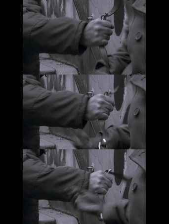 Past Illusions poster