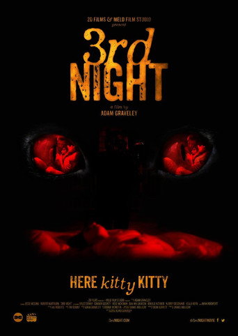 Movie poster for 3rd Night (2017)