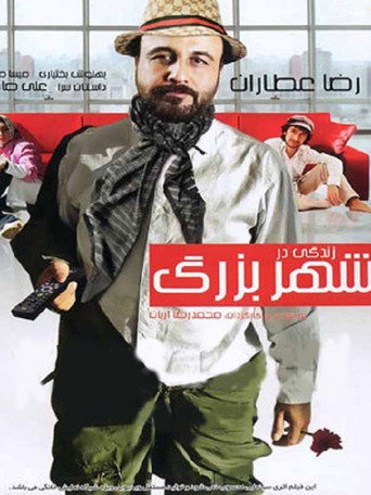 Live In The Big City poster