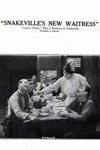 Movie poster for Snakeville's New Waitress (1914)