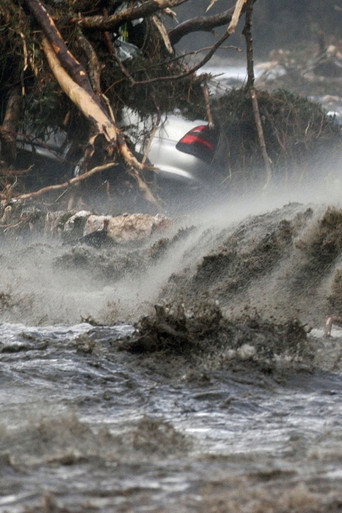Movie poster for The Great Devon & Cornwall Floods (2024)