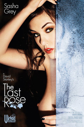 Movie poster for The Last Rose (2008)