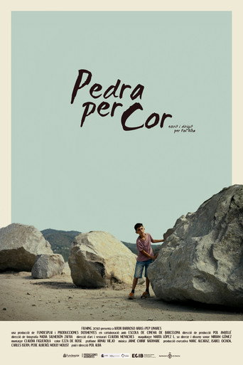 Movie poster for Pedra per Cor (2025)