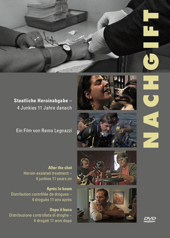 Movie poster for Nachgift (2009)