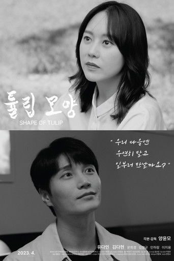 Shape of Tulip poster