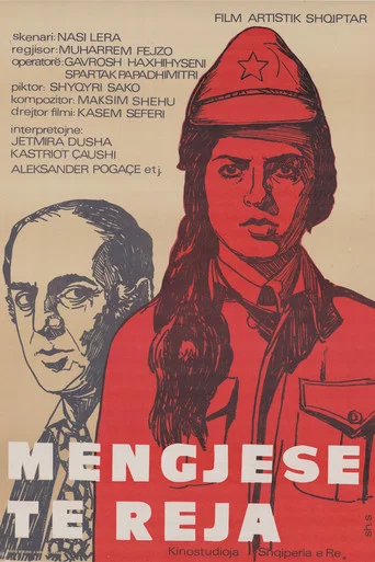 Movie poster for New Mornings (1980)