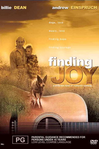 Finding Joy poster