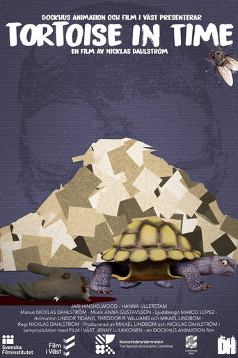 Movie poster for Tortoise in Time (2022)