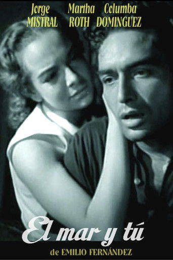 The Sea and You poster