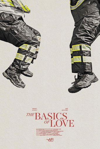 The Basics of Love poster
