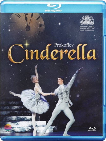 Movie poster for Cinderella (2010)