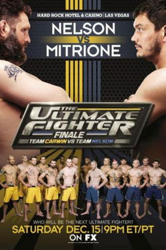 The Ultimate Fighter 16 Finale poster