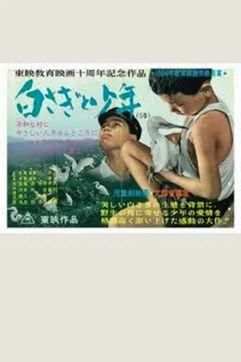Movie poster for 白さぎと少年 (1964)
