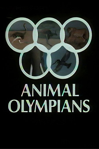 Movie poster for Animal Olympians (1980)