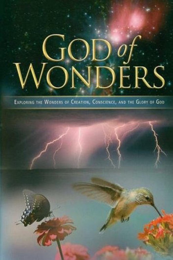 Movie poster for God of Wonders (2008)