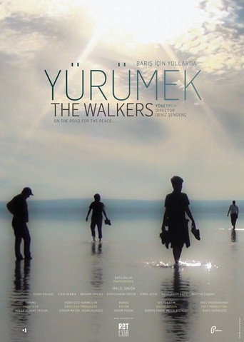 Movie poster for The Walkers (2013)