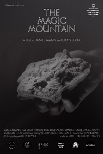 Movie poster for The Magic Mountain (2020)