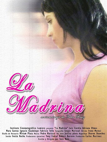 Movie poster for The Godmother (2008)