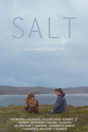 Salt poster