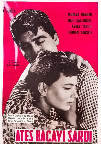 Movie poster for Ateş Bacayı Sardı (1961)