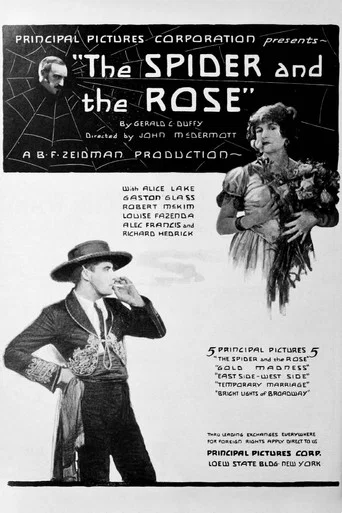Movie poster for The Spider and the Rose (1923)
