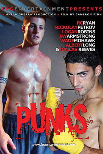 Movie poster for Punks (2007)