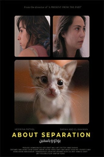 Movie poster for About Separation (2020)