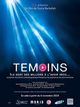 Movie poster for Témoins (2024)