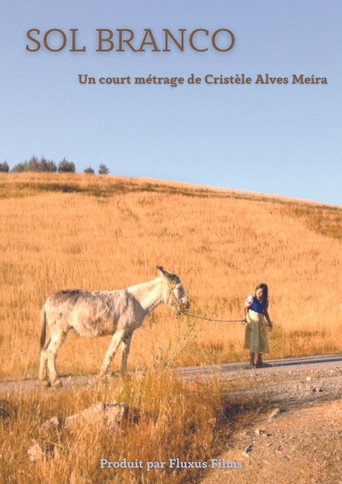Movie poster for Sol Branco (2015)
