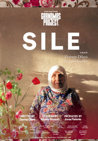 Movie poster for Şile (2022)