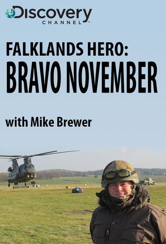 Falklands Hero: Bravo November poster