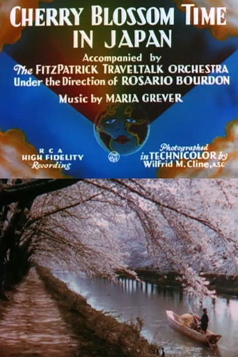 Cherry Blossom Time in Japan poster