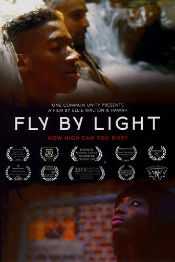 Movie poster for Fly by Light