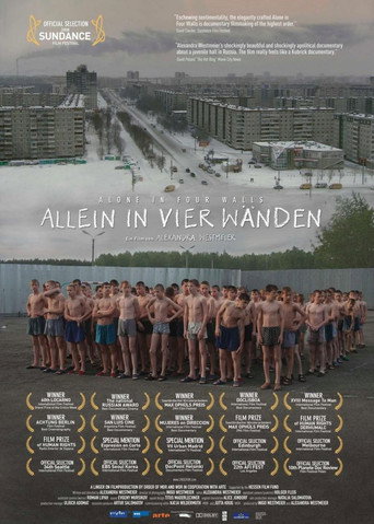 Movie poster for Alone in Four Walls (2008)