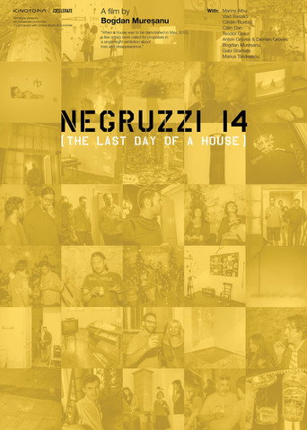 Movie poster for Negruzzi 14 (2016)