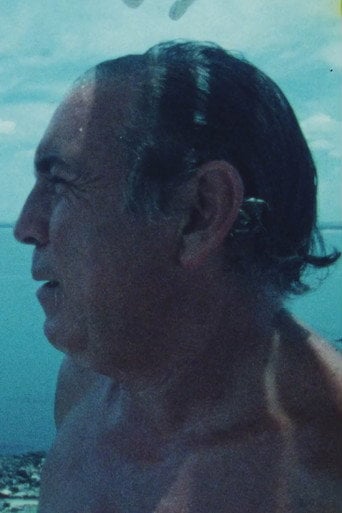 Movie poster for Portrait of Carlos Vilaro
