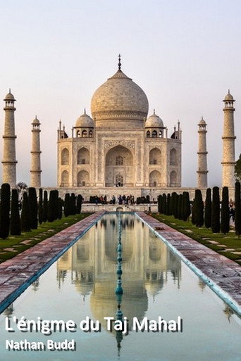 Movie poster for Sex, Lies and the Taj Mahal (2017)