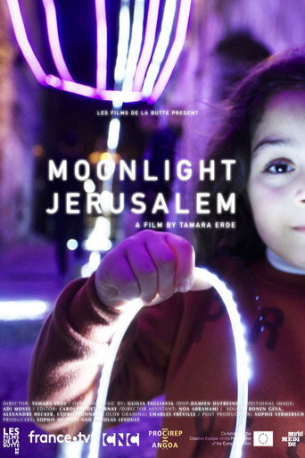 Movie poster for Moonlight Jerusalem (2021)