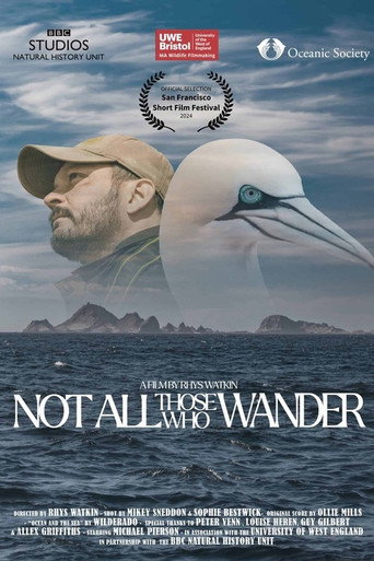 Movie poster for Not All Those Who Wander (2024)