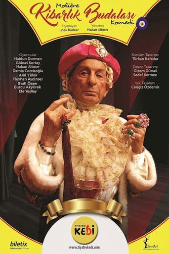 Kibarlık Budalası poster