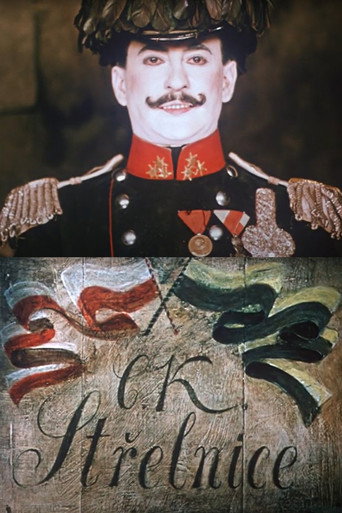 Movie poster for The Shooting Gallery (1969)