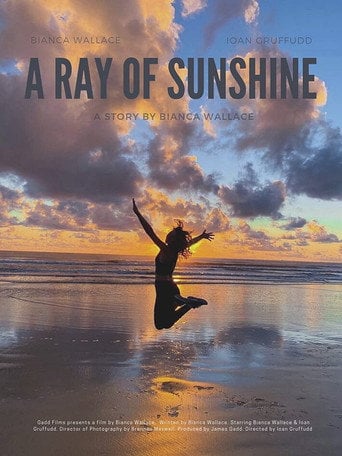 Movie poster for A Ray of Sunshine