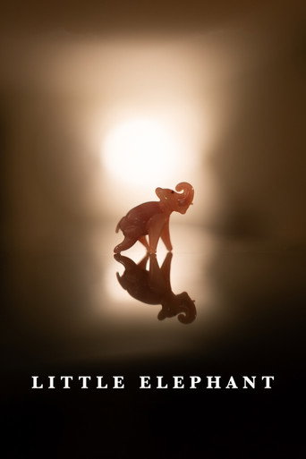Movie poster for Little Elephant (2020)