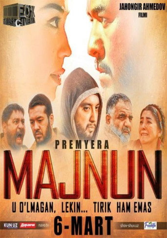 Movie poster for Majnun (2016)